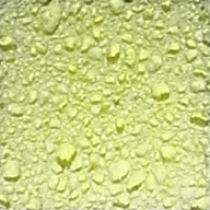 Sponge sample