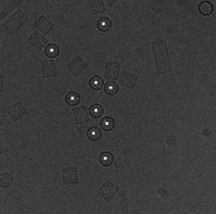 Particle Detection in Cryo-Electron Micrographs