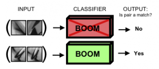 Task Specific Local Region Matching