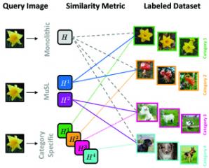 Similarity Metrics for Categorization: from Monolithic to Category Specific