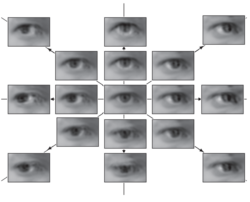 Locally Smooth Manifold Learning