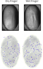 Wet and Wrinkled Fingerprint Recognition